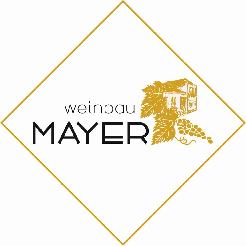 Mayer-Logo-2024